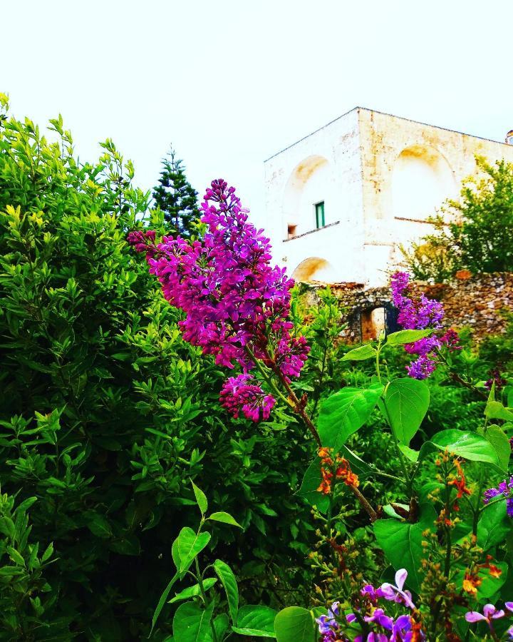 Masseria Delle Rose 1760 Alessano Bagian luar foto