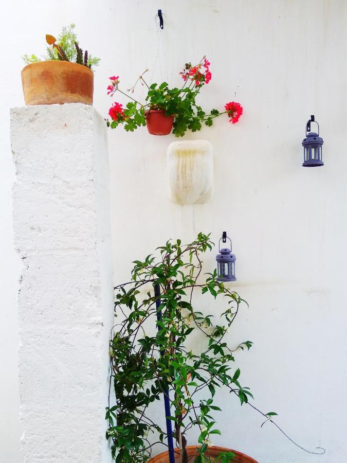 Masseria Delle Rose 1760 Alessano Bagian luar foto